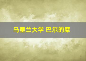 马里兰大学 巴尔的摩